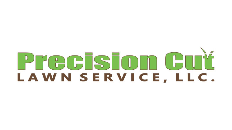 Precision Cut logo | Swan Software Solutions